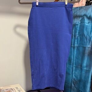 Elegant Blue Women's Skirt
